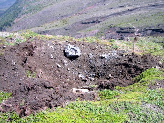 geological-surveys