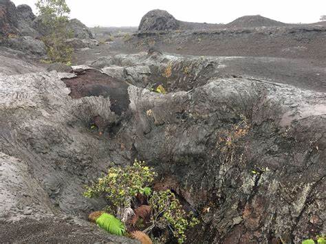 geological-surveys